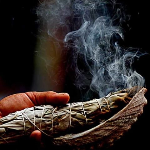 Smudge Stick White Sage Large - Eternal Balance